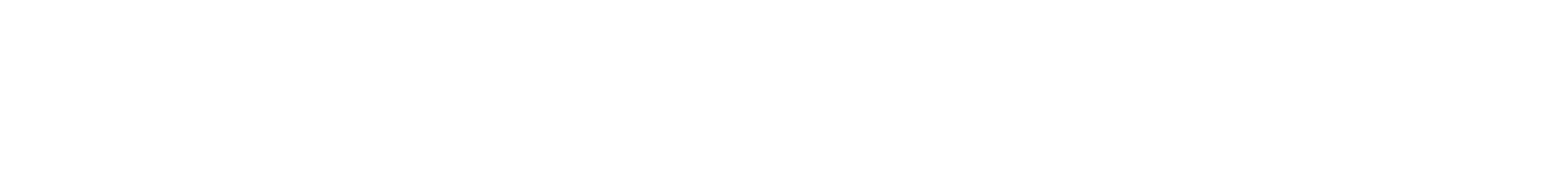 Metizsoft Logo