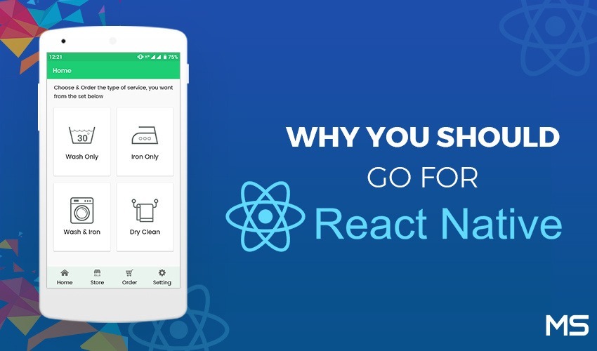 Why You Should Go For React Native