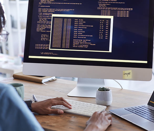 Software Development
