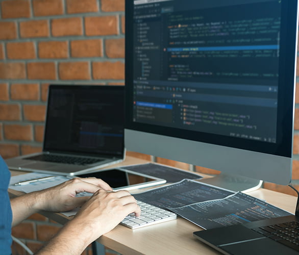 Web Development