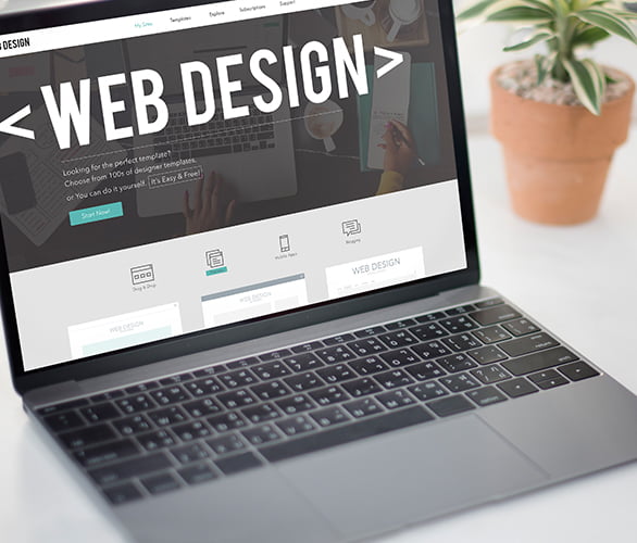 Web Design