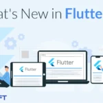 The New Flutter 2.2 Release- Here’s all you need to know about it.