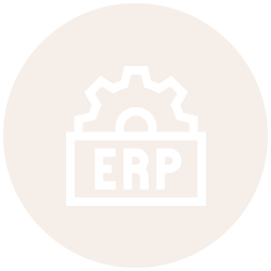 crm erp system developers