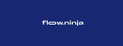 flow ninja logo