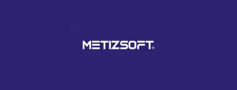 metizsoft logo